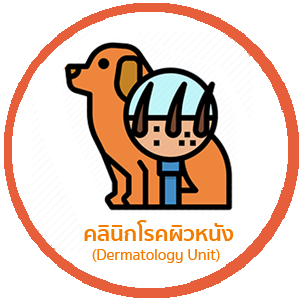 Dermatology2