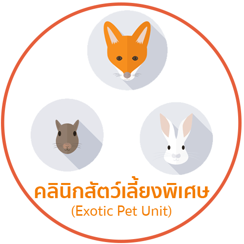 สัตว์พิเศษ