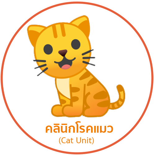 แมว