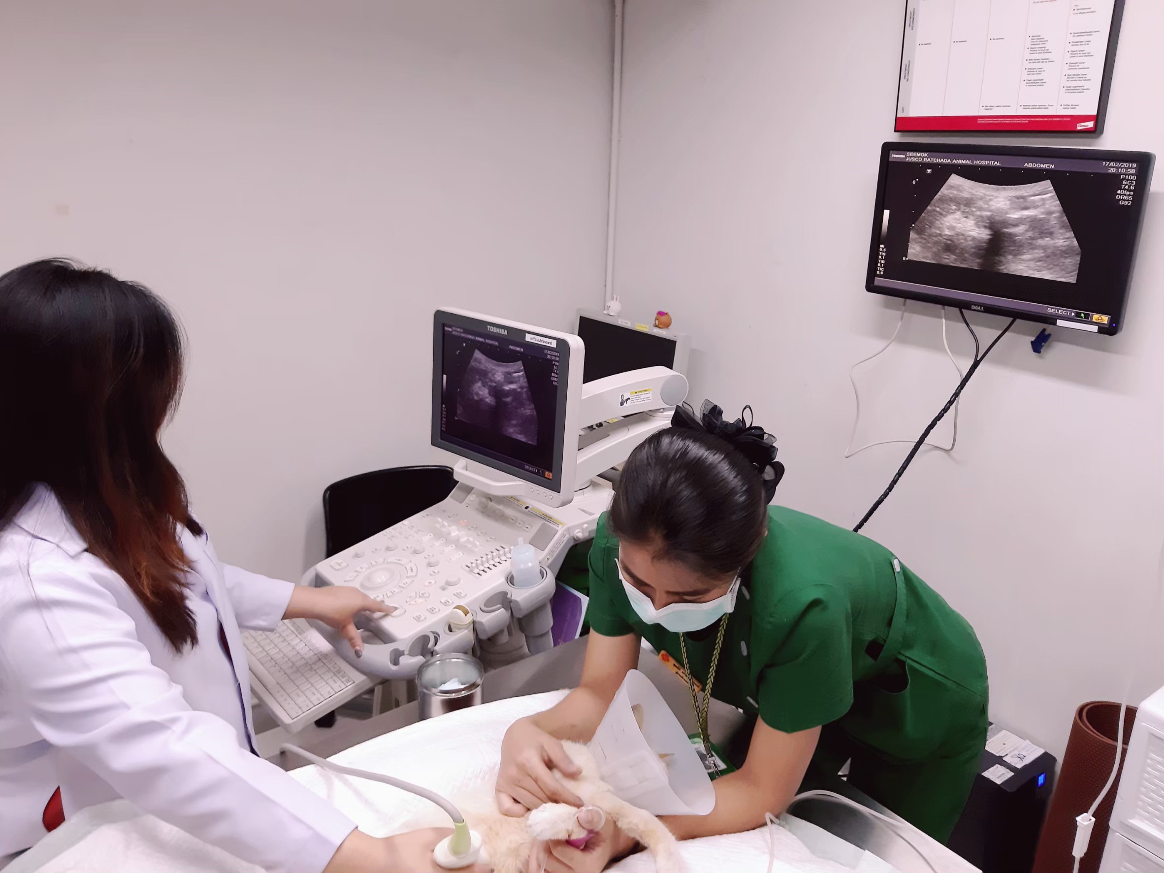 ultrasound+ประชุมvet_190810_0013 ultrasound+ประชุมvet_190810_0013